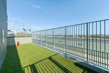 Pet park